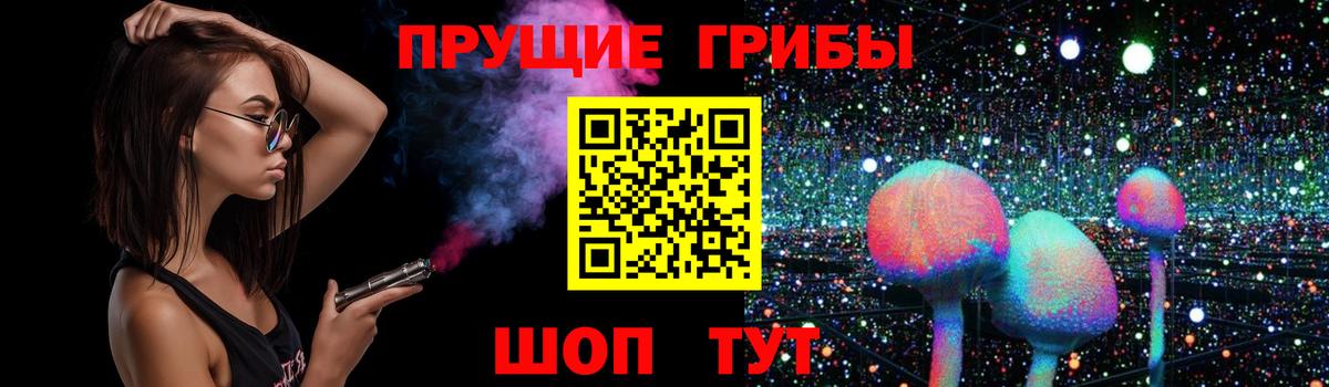 где найти   Галлюциногенные грибы Magic Shrooms  Вход с VPN  Назрань 